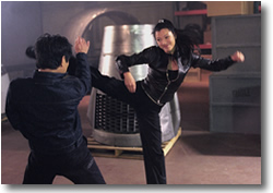 Jet Li vs. Kelly Hu