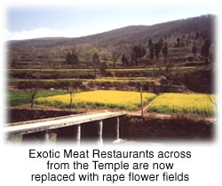 Exotic Meat Restaurants across from the Temple are now replaced with ripe flower