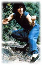 Jackie Chan as Young Master