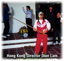 One of Ching Siu-tung's prot?g?s from the late 80s, Dion Lam.