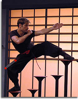 Ninja black belt, Glen Levy balances on plum poles