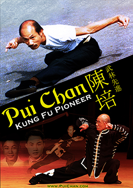 Pui-Wah Chan Net Worth