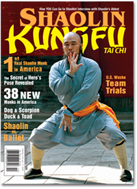 Kungfu Tai Chi 2007 Nov/Dec